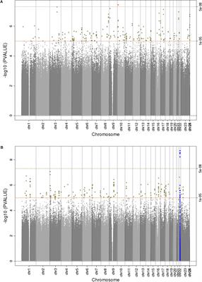 Genetics of Chronic Kidney Disease Stages Across Ancestries: The PAGE Study